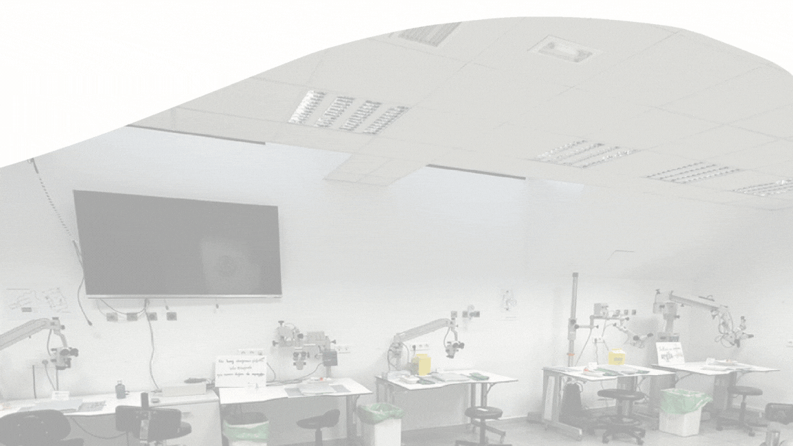Experimental Vascular Microneurosurgery: Anastomoses and repair techniques course (4th Edition)