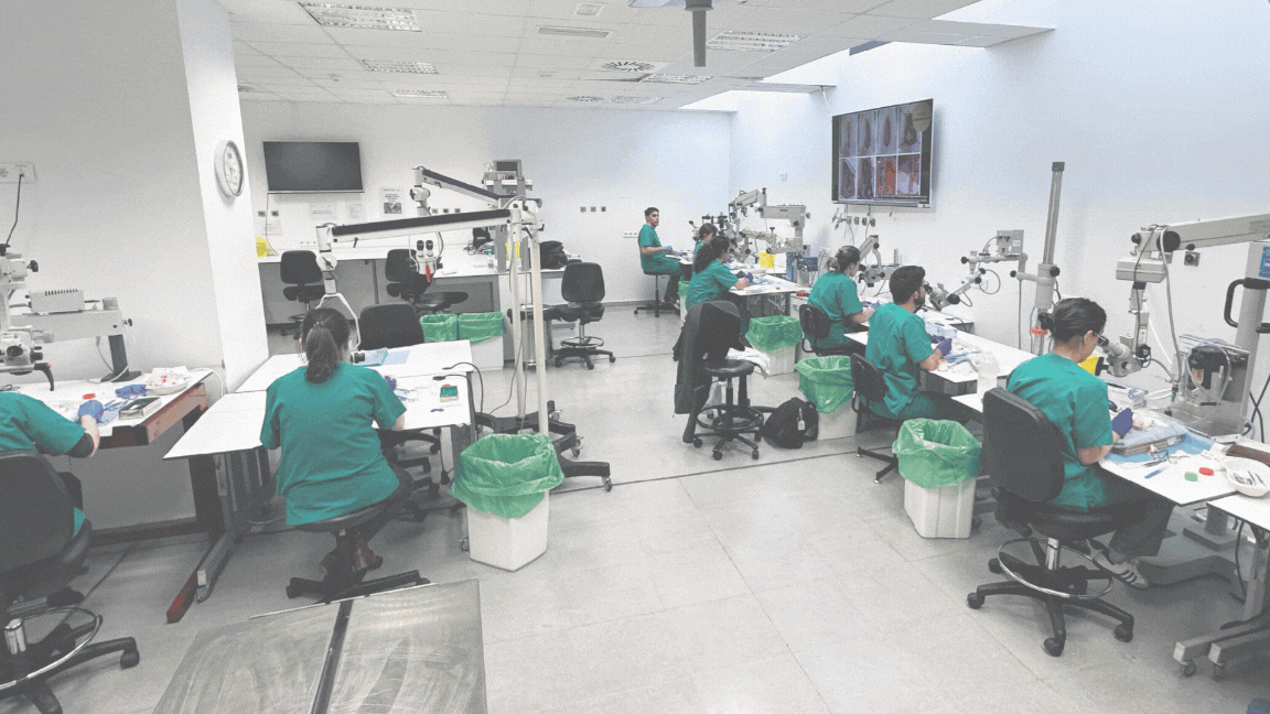 Experimental  Vascular  Microneurosurgery: Anastomoses and Repair Techniques Course (5th Edition)